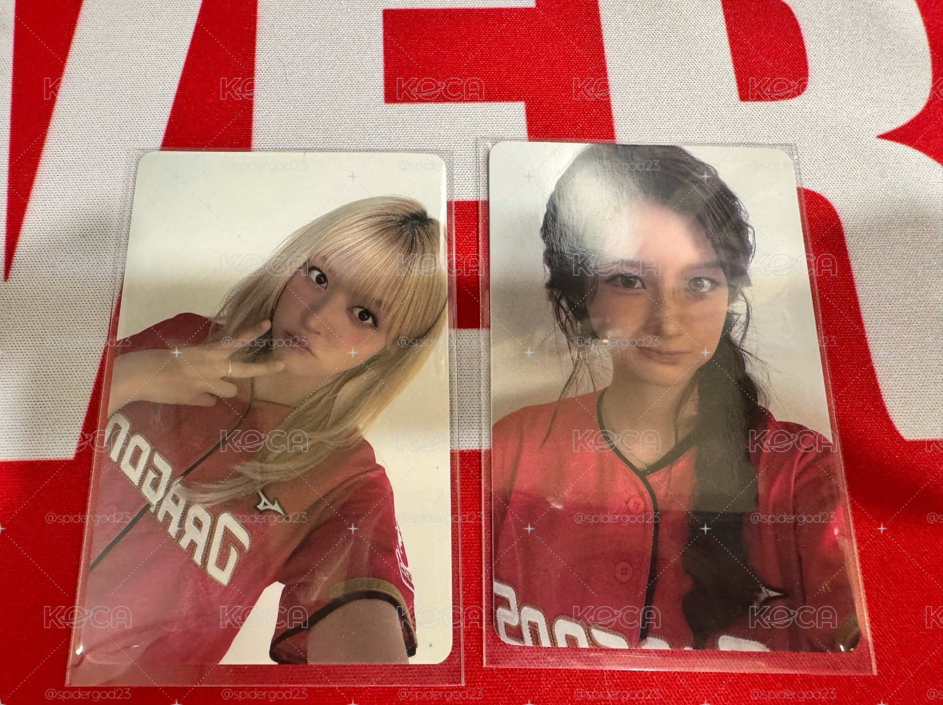 味全小卡 莉薛