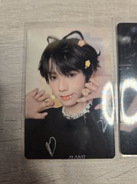 貓爪