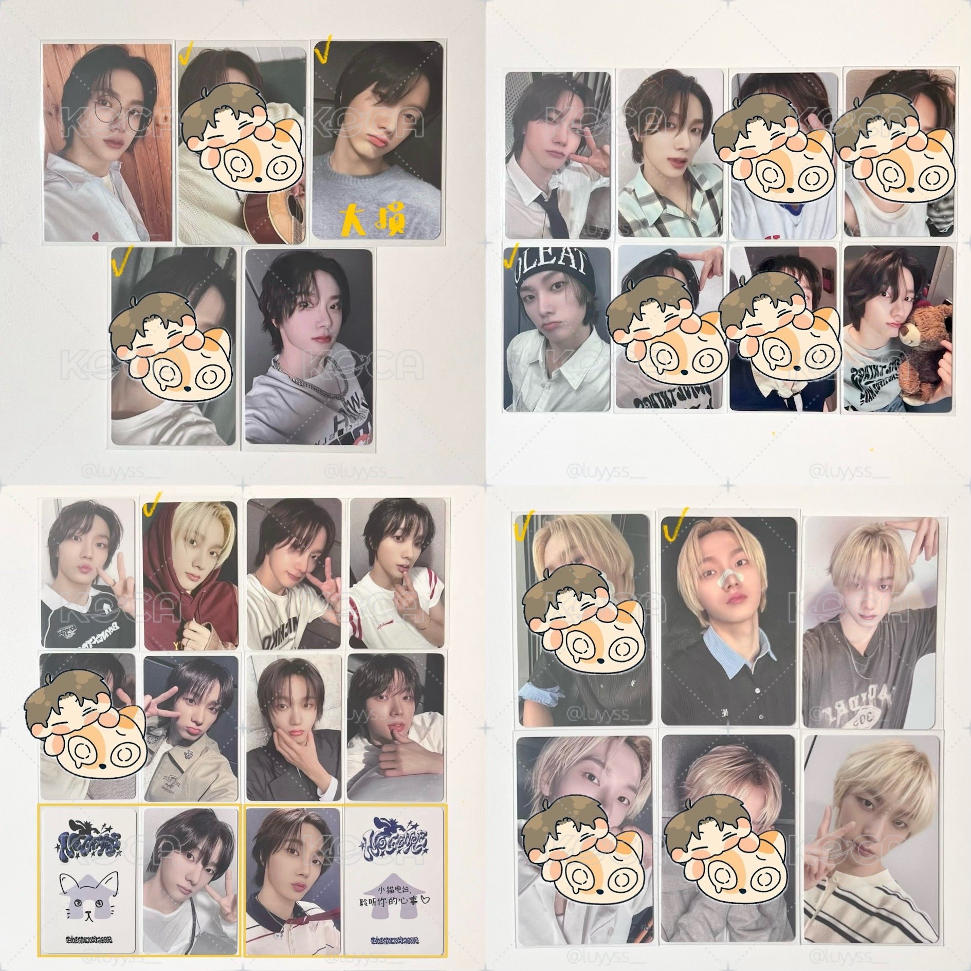 🐈成淏 韓流1 標價含綁