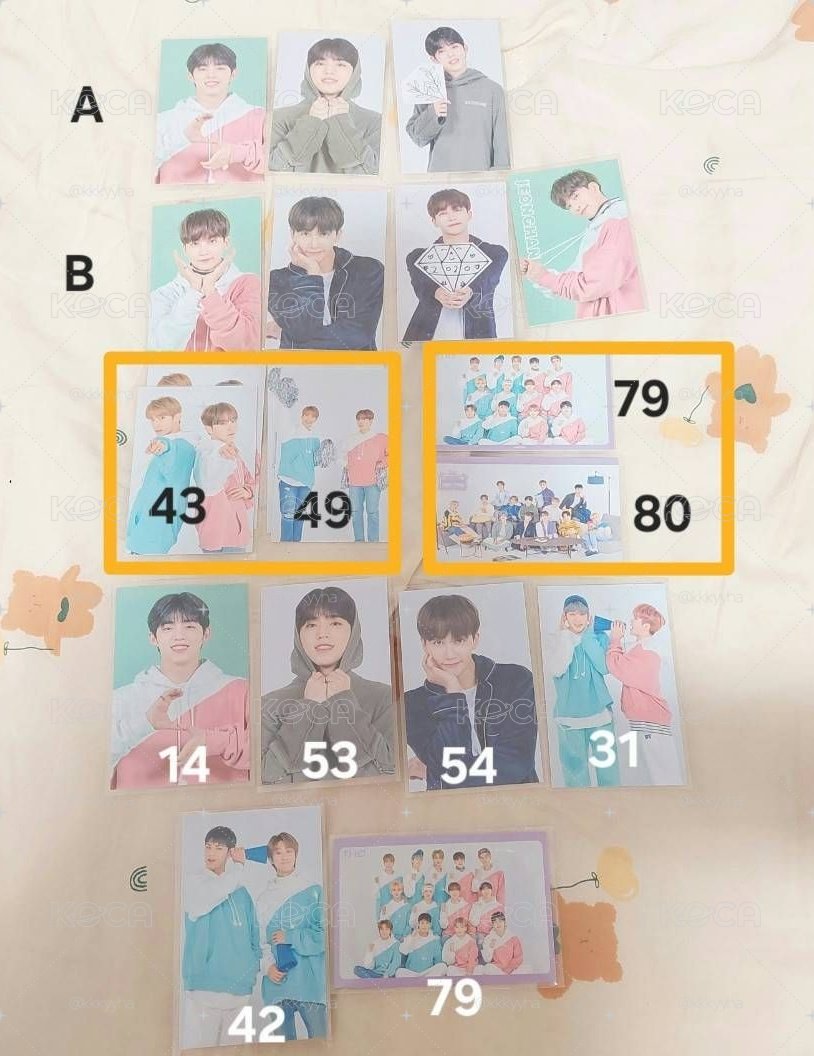 ❤️SEVENTEEN 2020 四期 克拉島 卡包卡 小卡 勝哲 淨漢 碩寛 奎八 團體