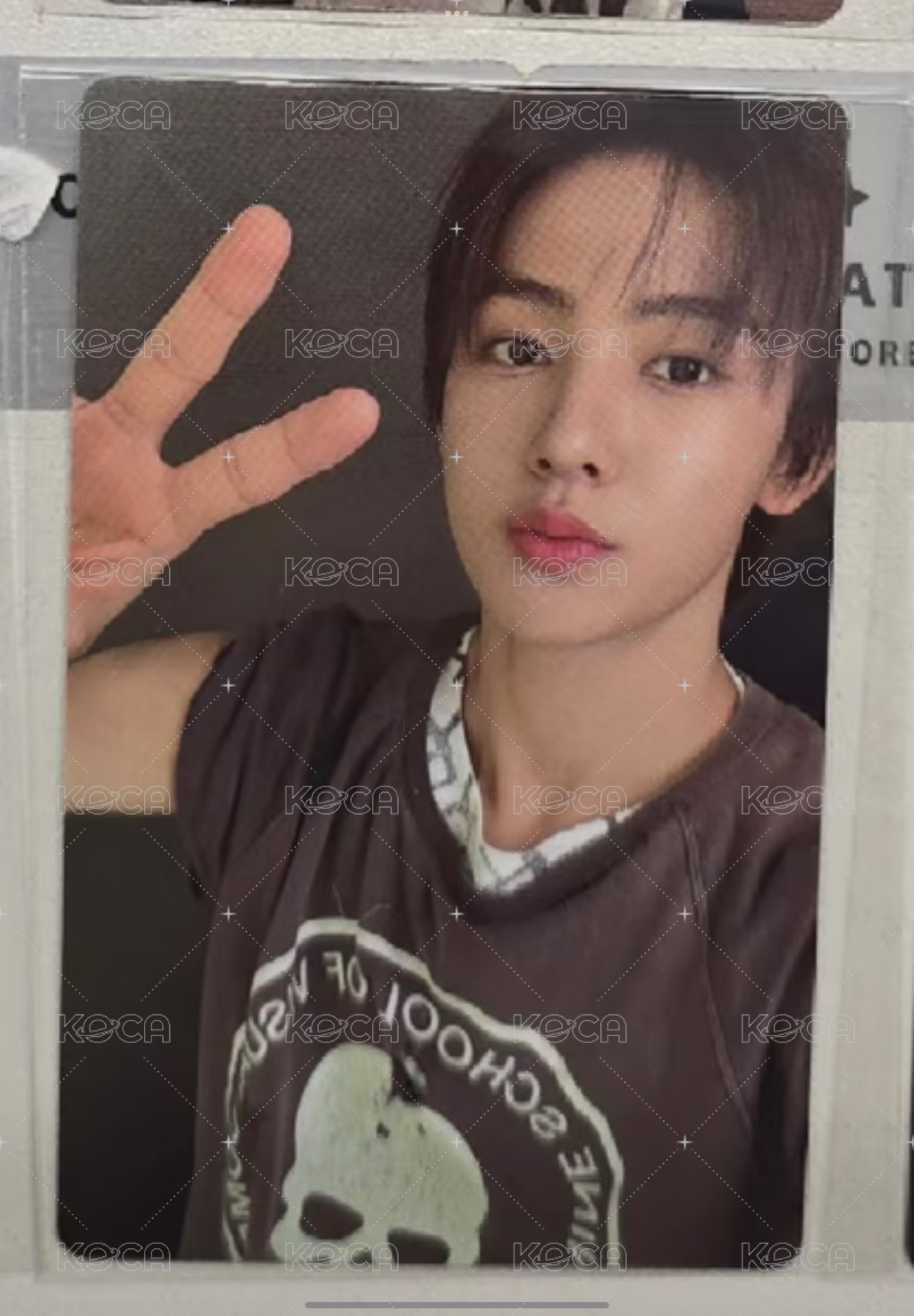 wvs簽售