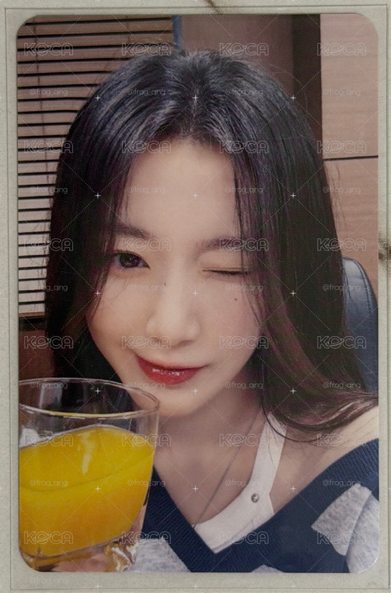 MS6.0 乾杯ver