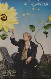 セツナハナビ Rakuten books 貼紙 