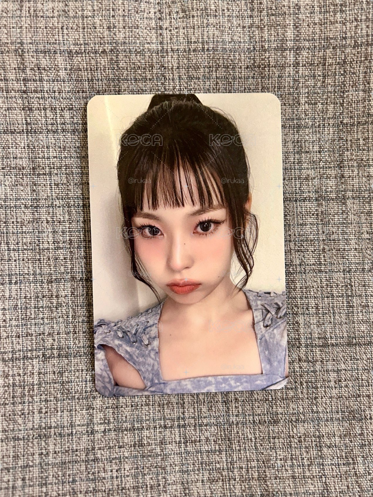 粉絲演唱會小貓