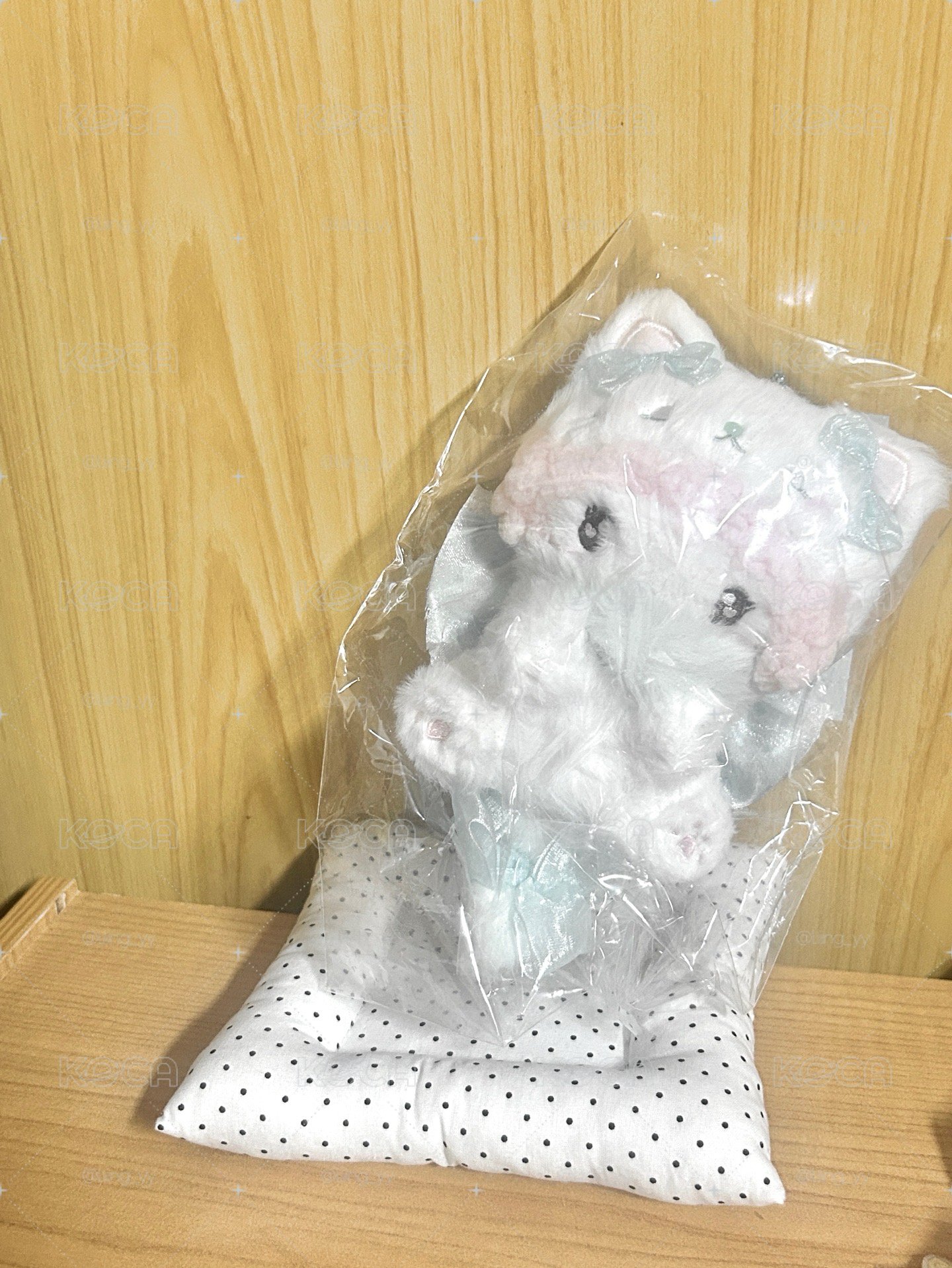 牛奶小貓彼安諾🥛⊹.݁˖.݁༉