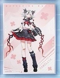 F賞 － 色紙