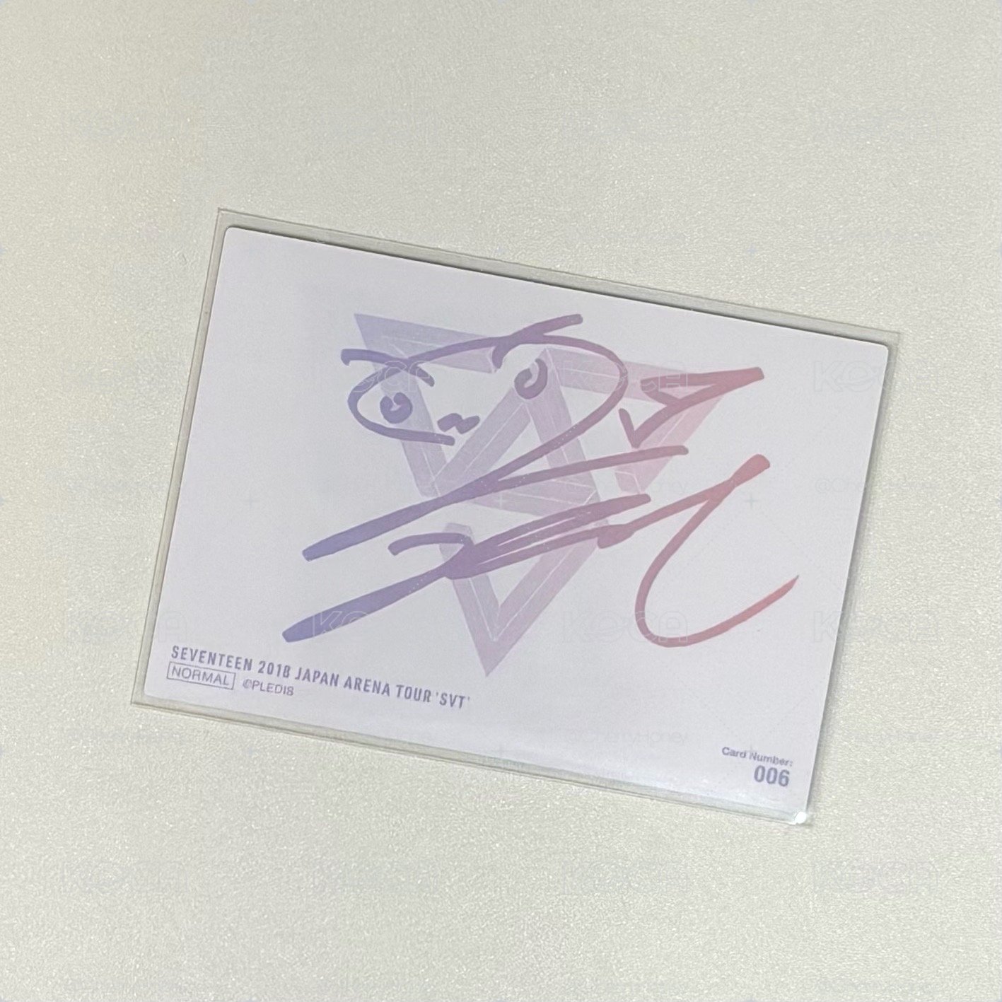 18年 JAPAN ARENA TOUR 漢