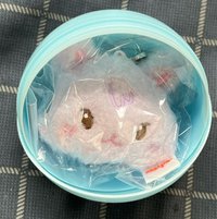紫貓大頭串娃(需綁賣場任選200)