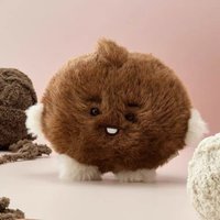 shooky