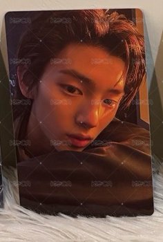 迷一 wvs 3.0 幸運卡