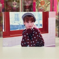 普美B版
