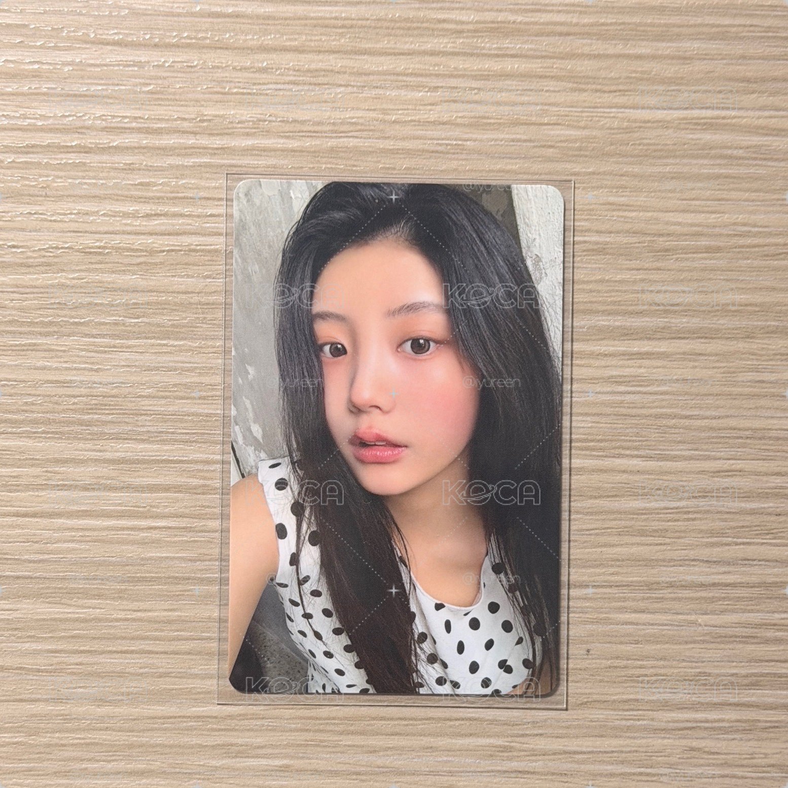 Wonhee 塔店 波點