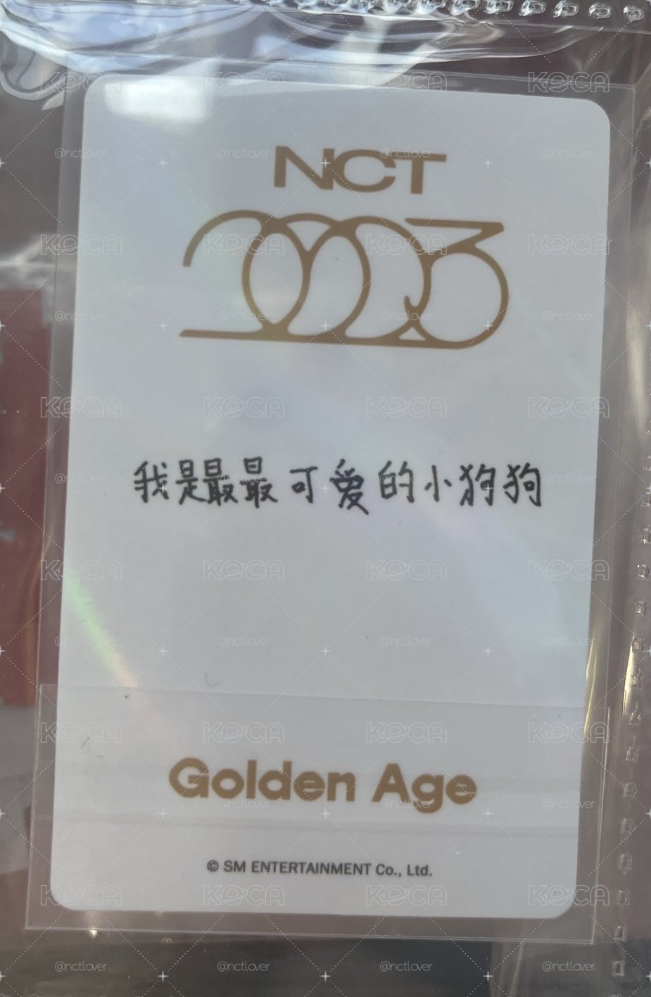 jeno 大隊中背
