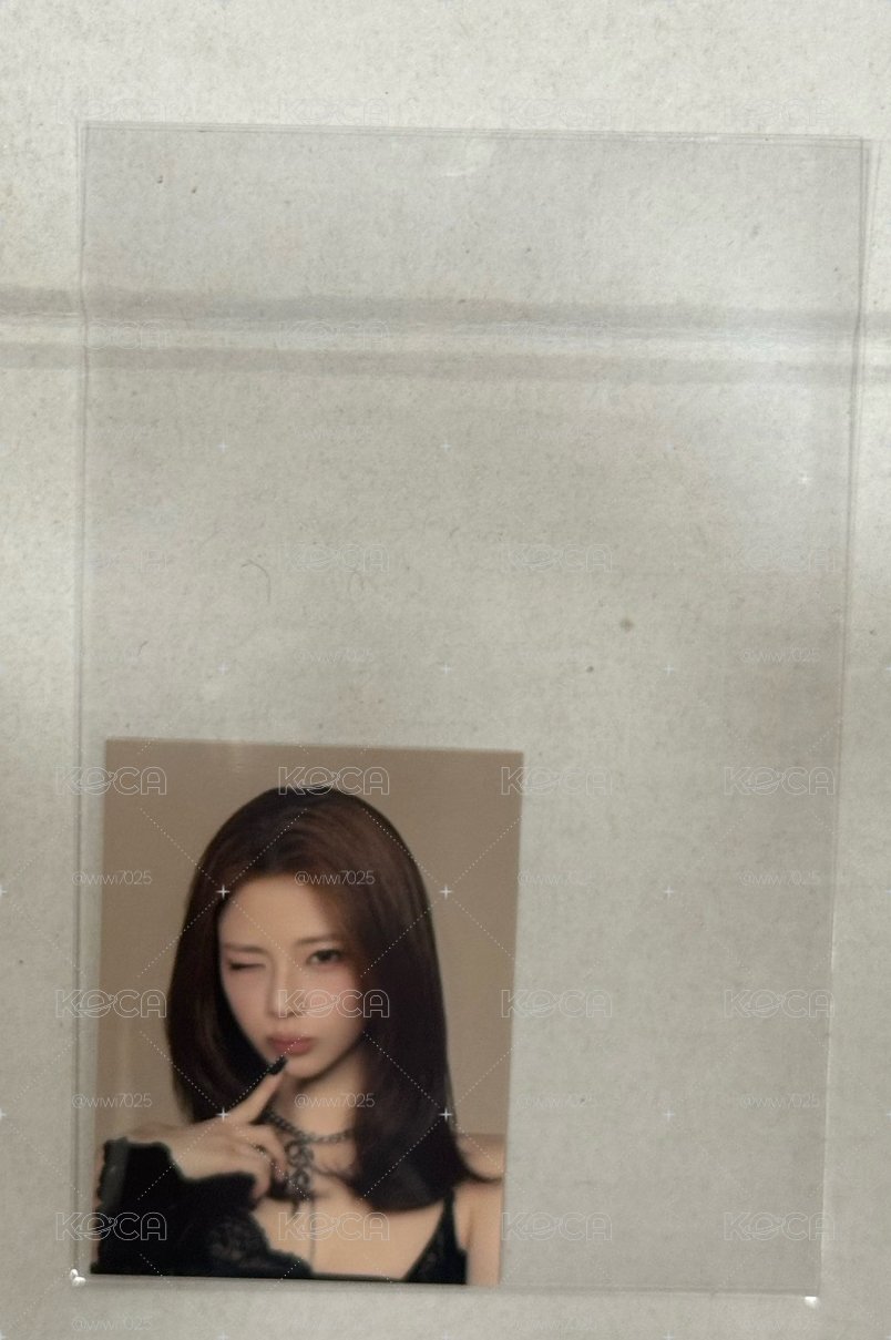 露證件照