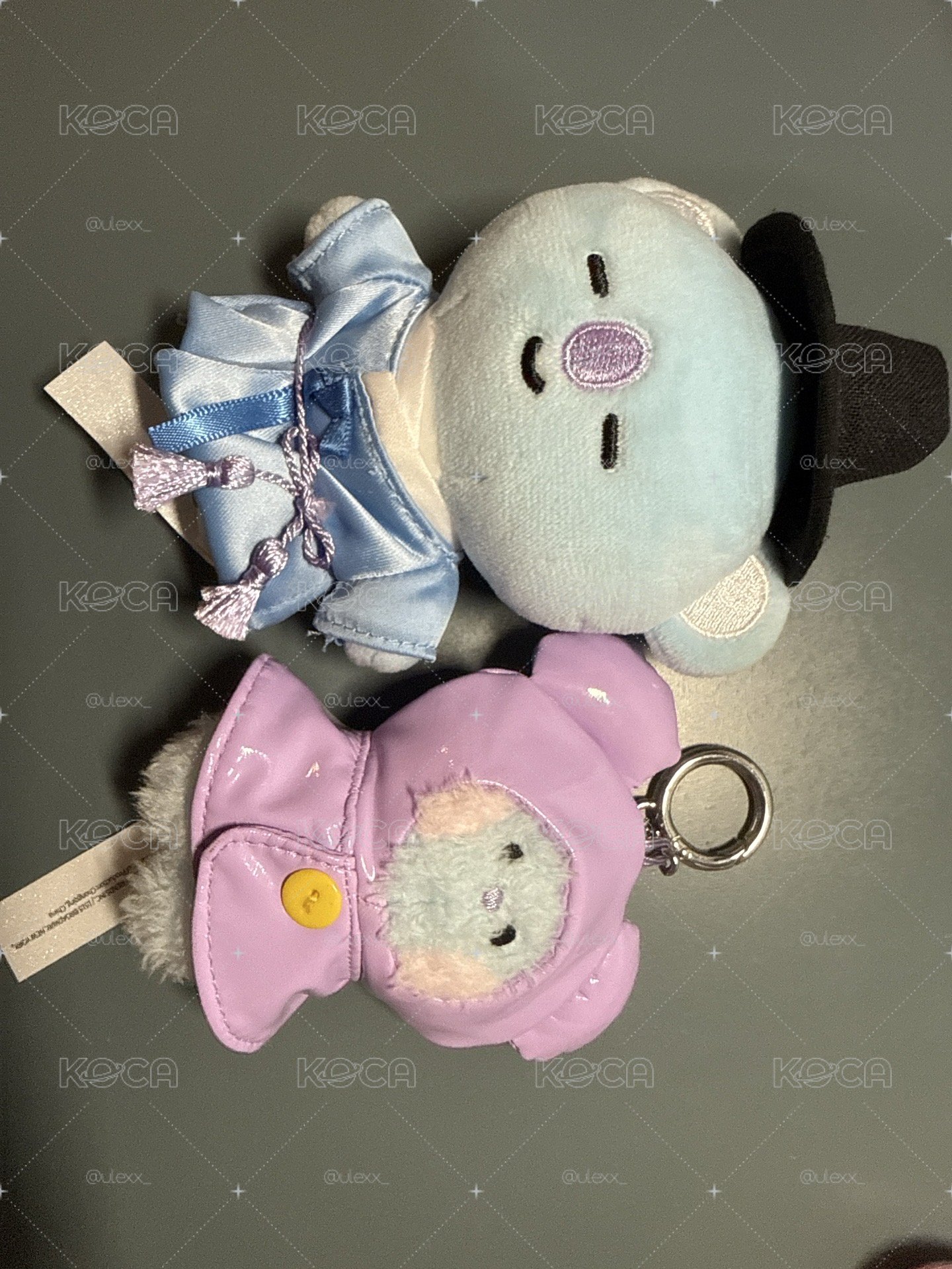 bt21兩隻不拆