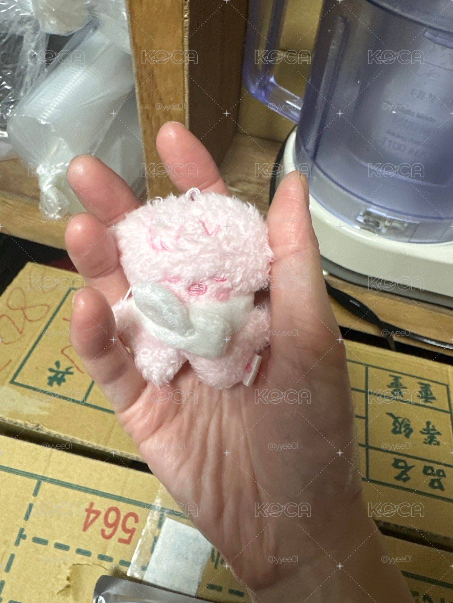 stray kid 2026飯咪 菲潦草娃
