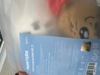 《現貨》miniteen 哲 奎 大頭