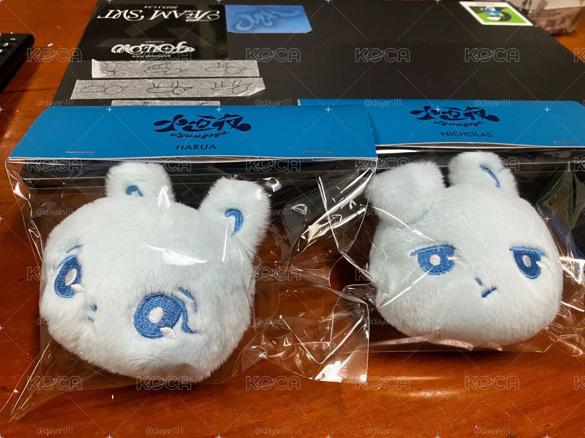 &TEAM[十五夜 (Jyuugoya)]FACE KEYRING大頭鑰匙圈 現貨