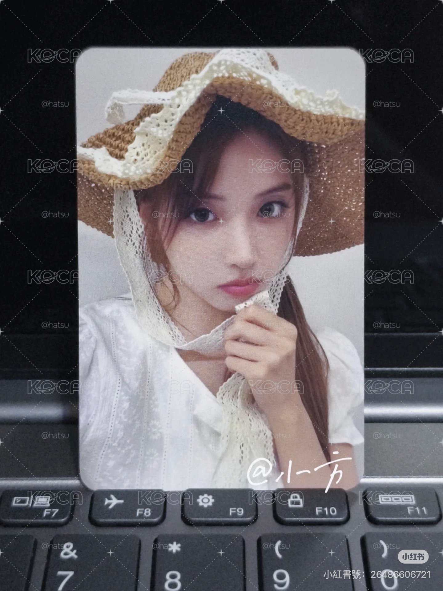 ms6.0草帽友