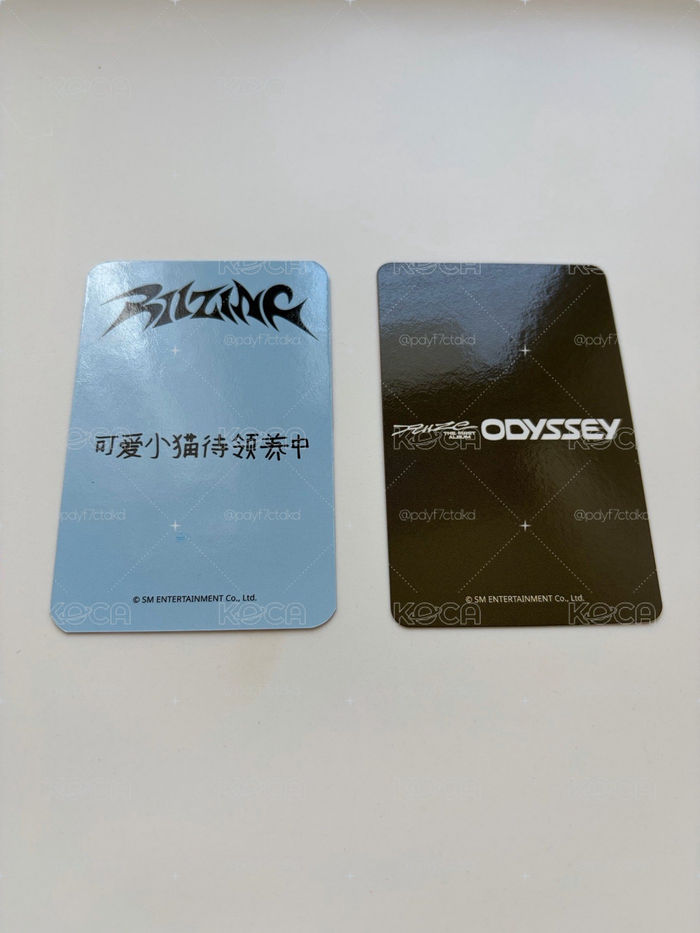 快把元彬小貓帶走吧