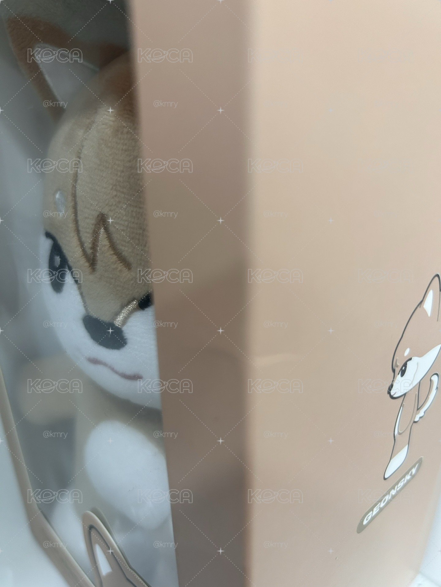 Geonsky大娃🐾