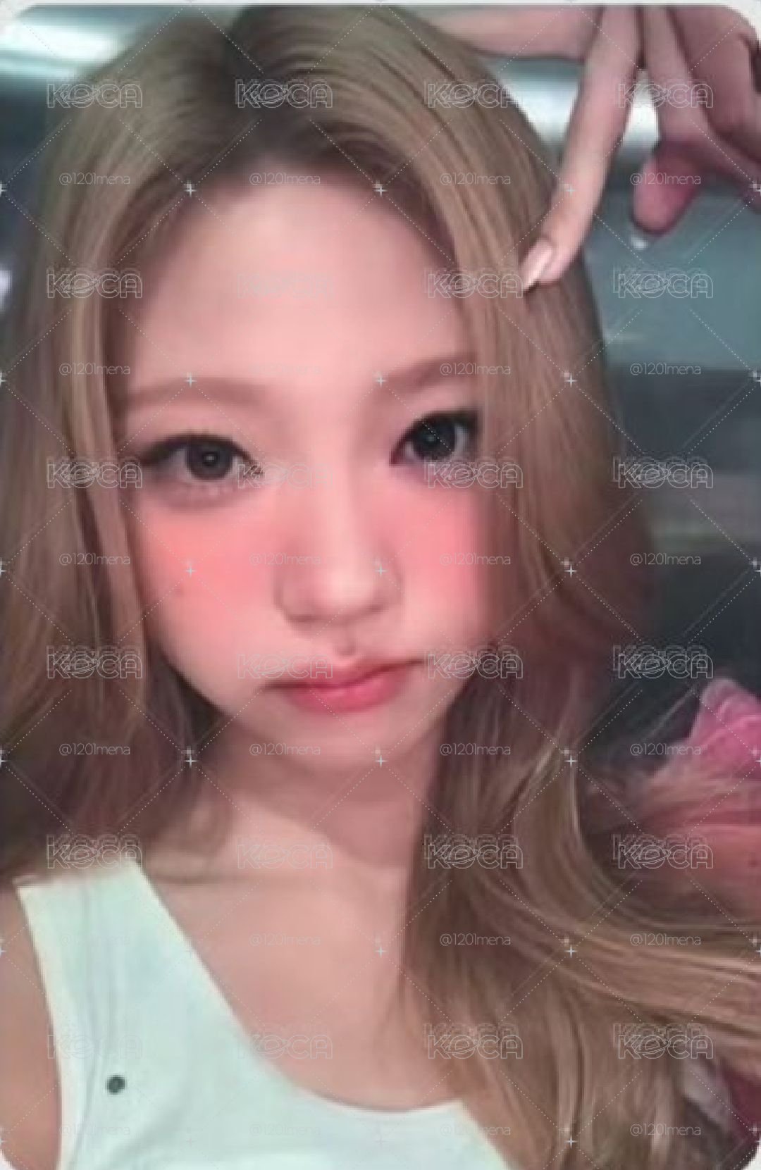 貓耳拉
