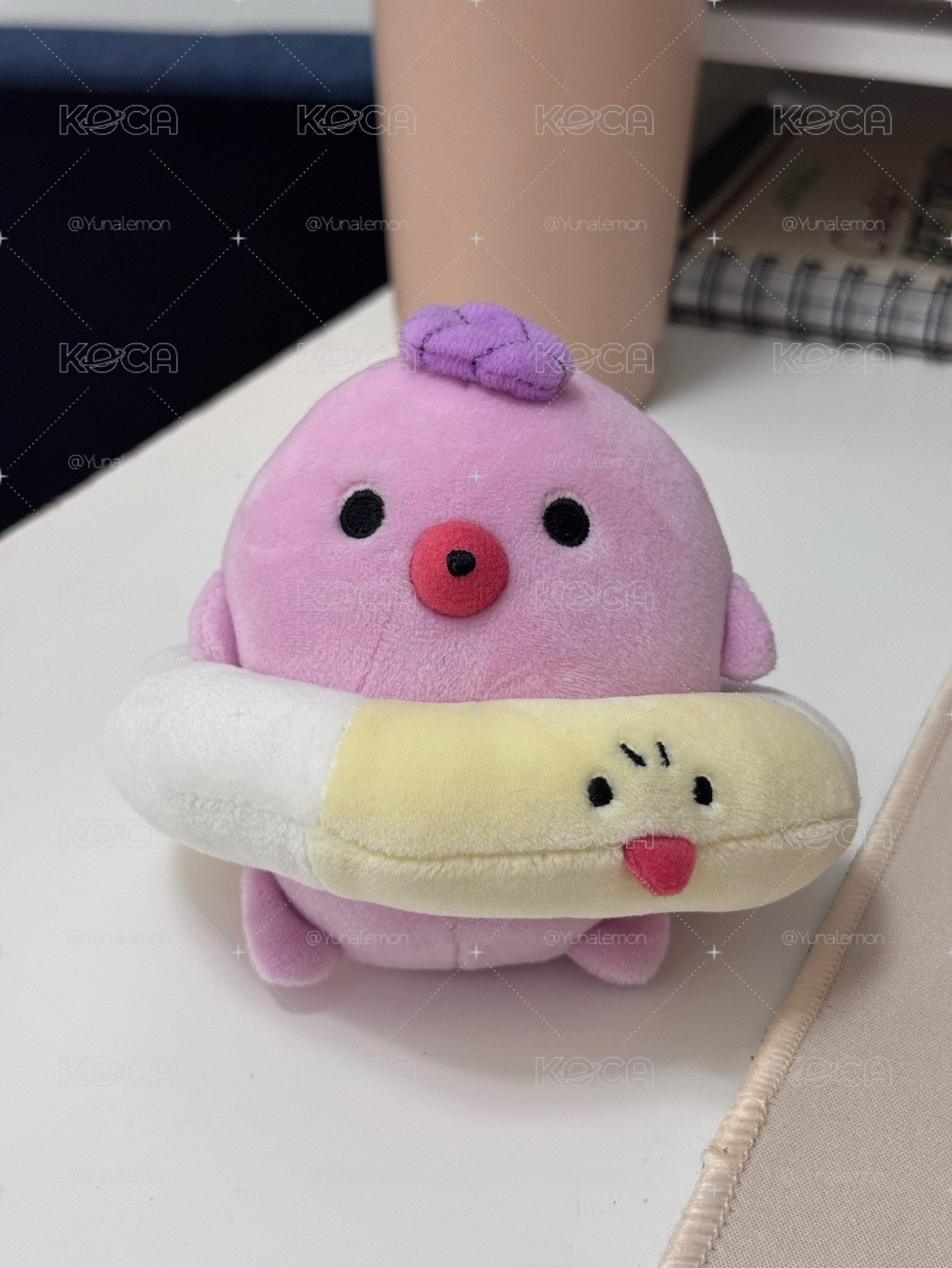 CCREW 原版咸娃