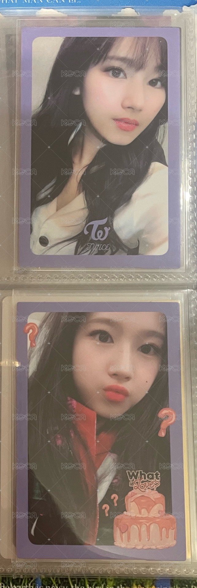迷五專卡set（80/2）