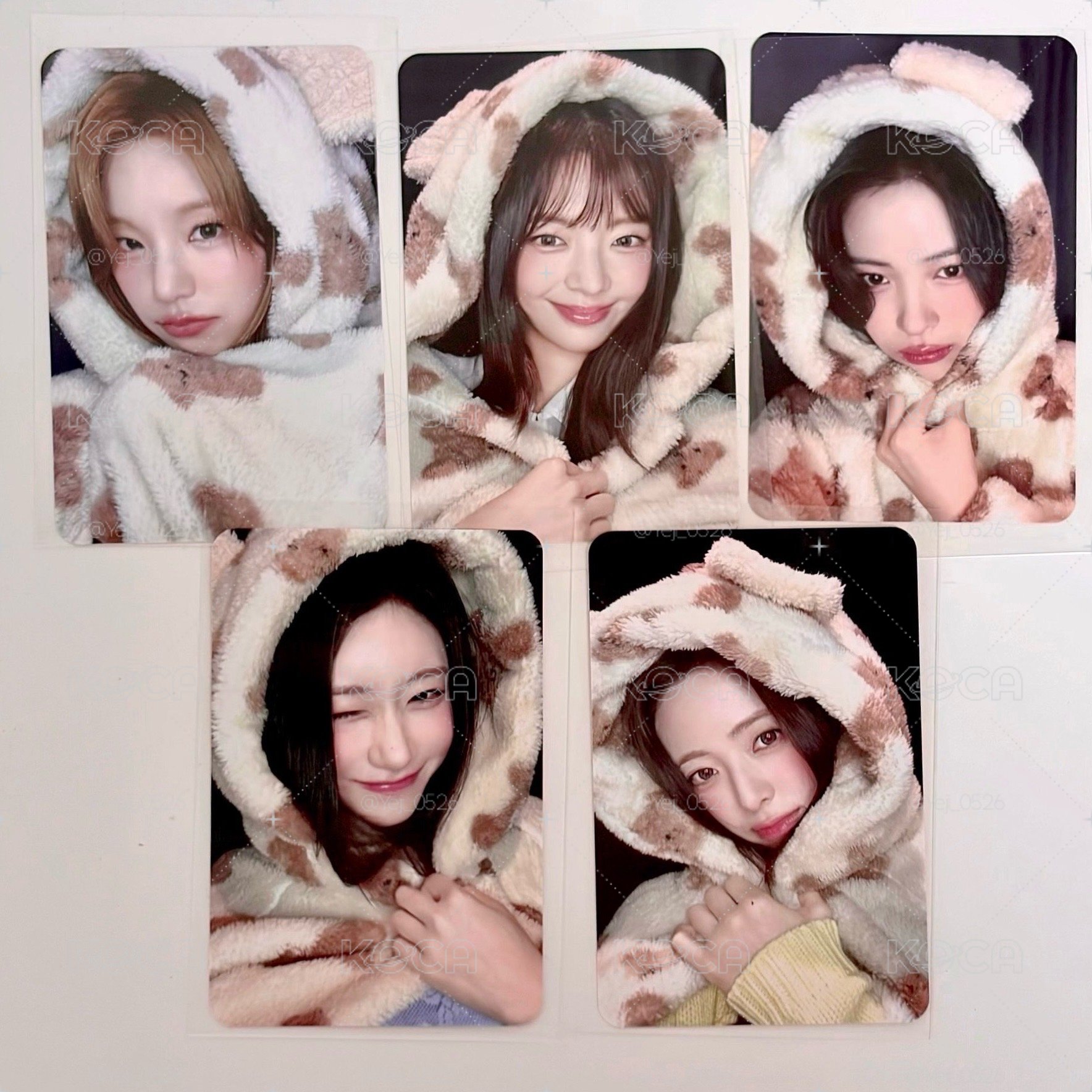 【ms 小熊 代購】四張🈚️志