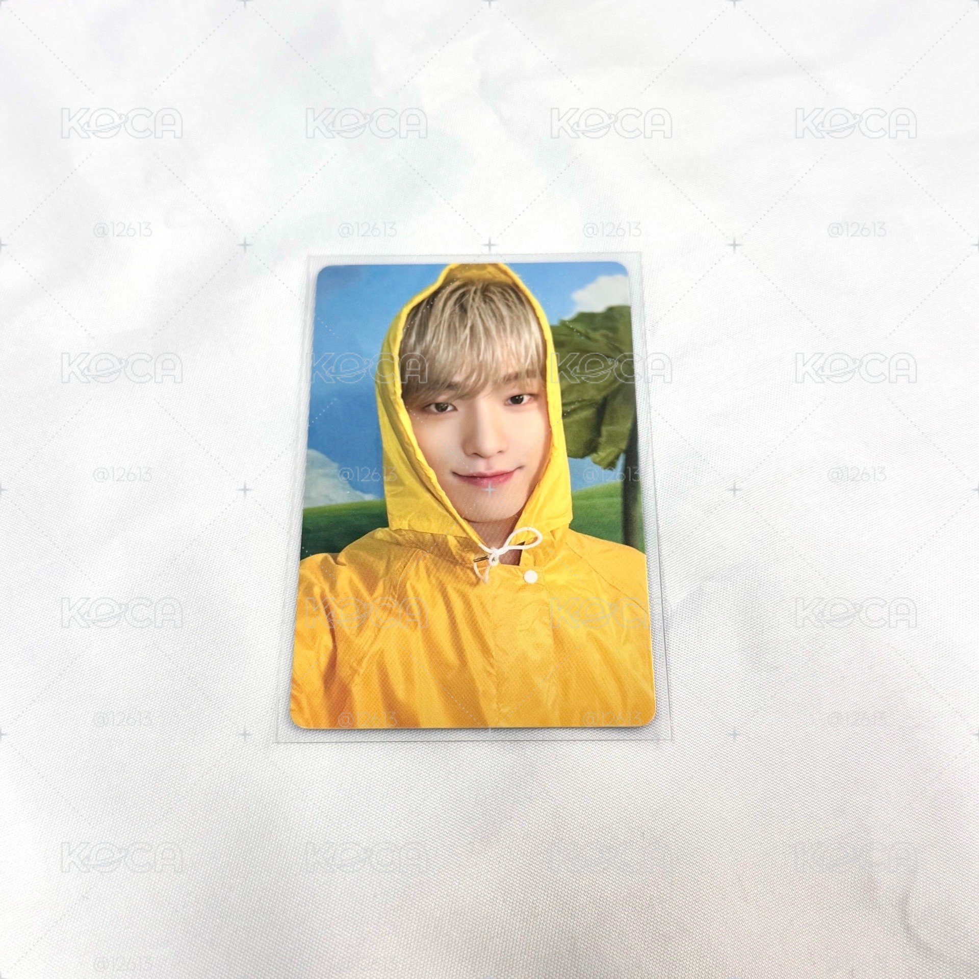 seventeen 李燦 Dino MINI11 專卡 CARAT ver.