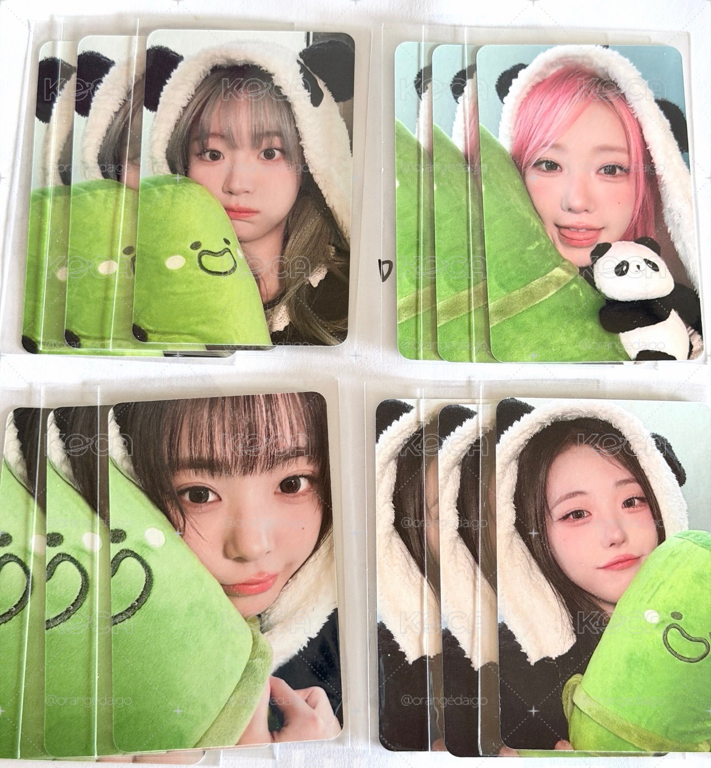 QWER 熊貓🐼