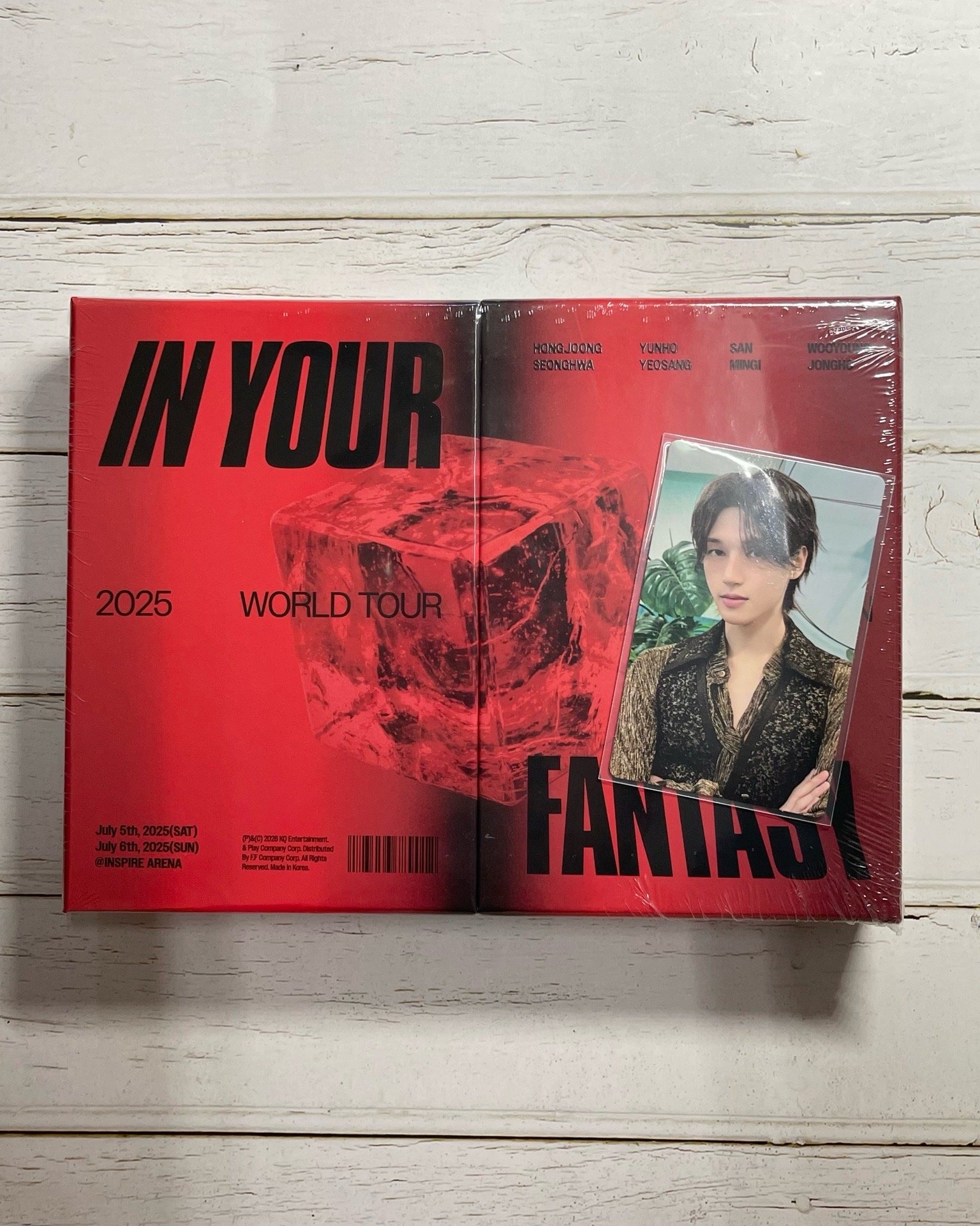 IN YOUR FANTASY DVD 
