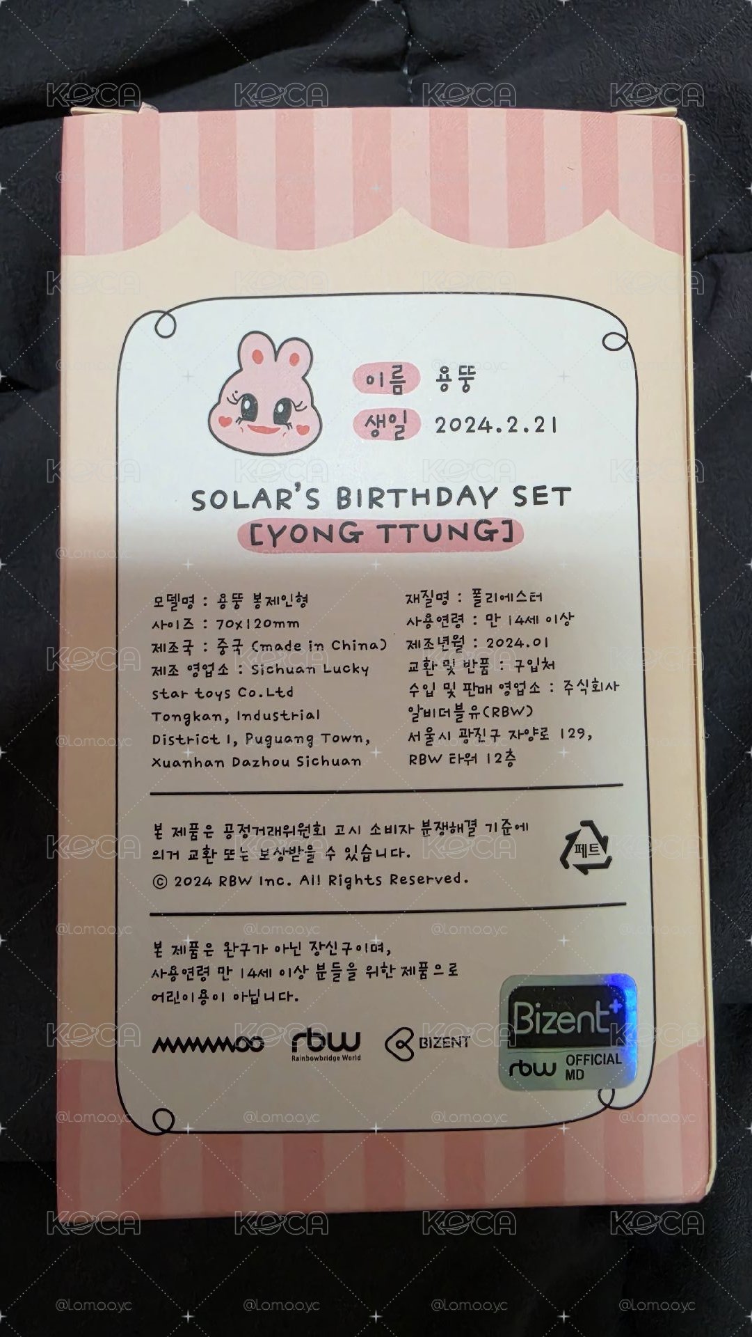 2024 SOLAR'S BIRTHDAY 娃娃玩偶 YONG TTUNG 容墩