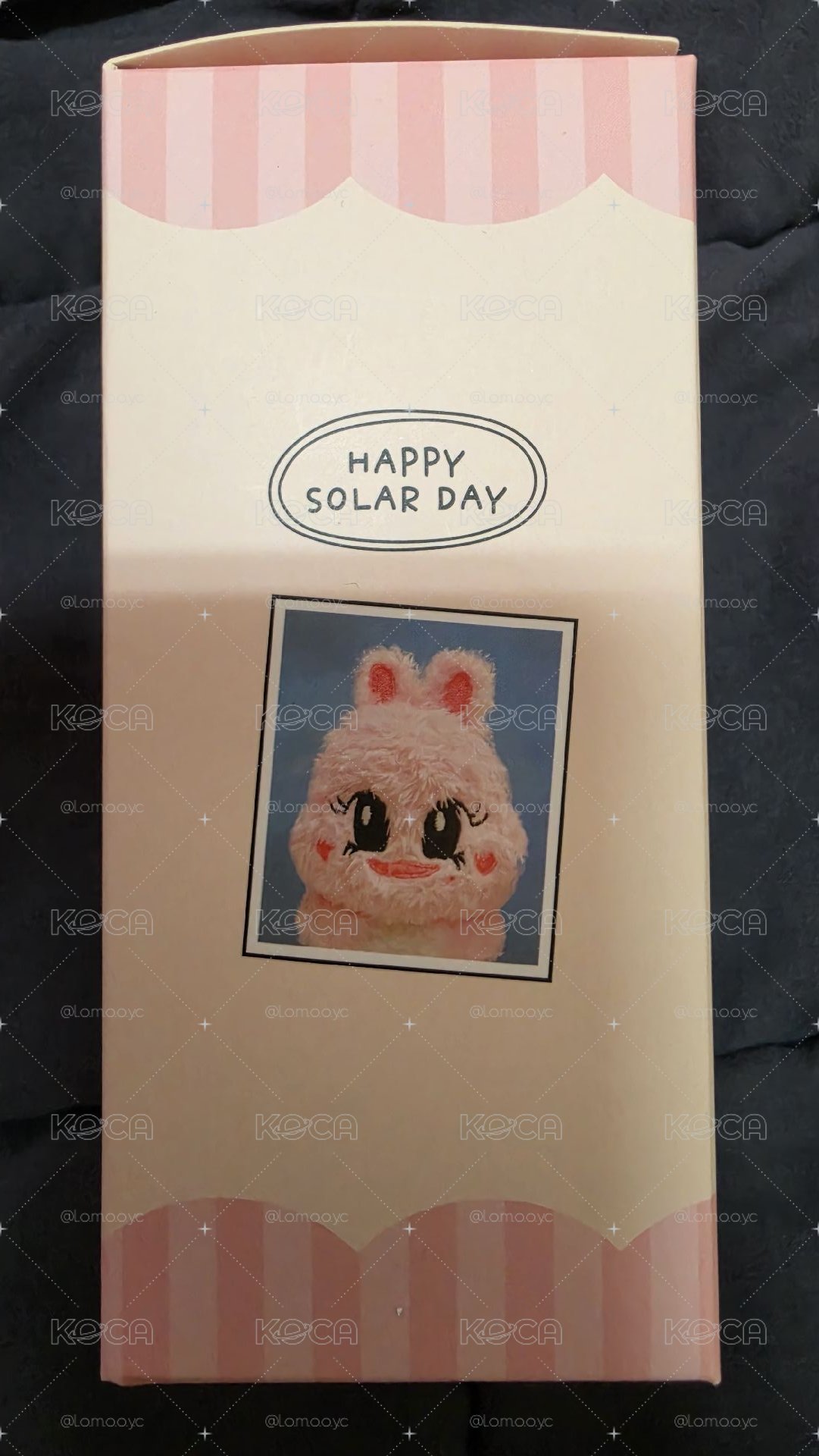 2024 SOLAR'S BIRTHDAY 娃娃玩偶 YONG TTUNG 容墩