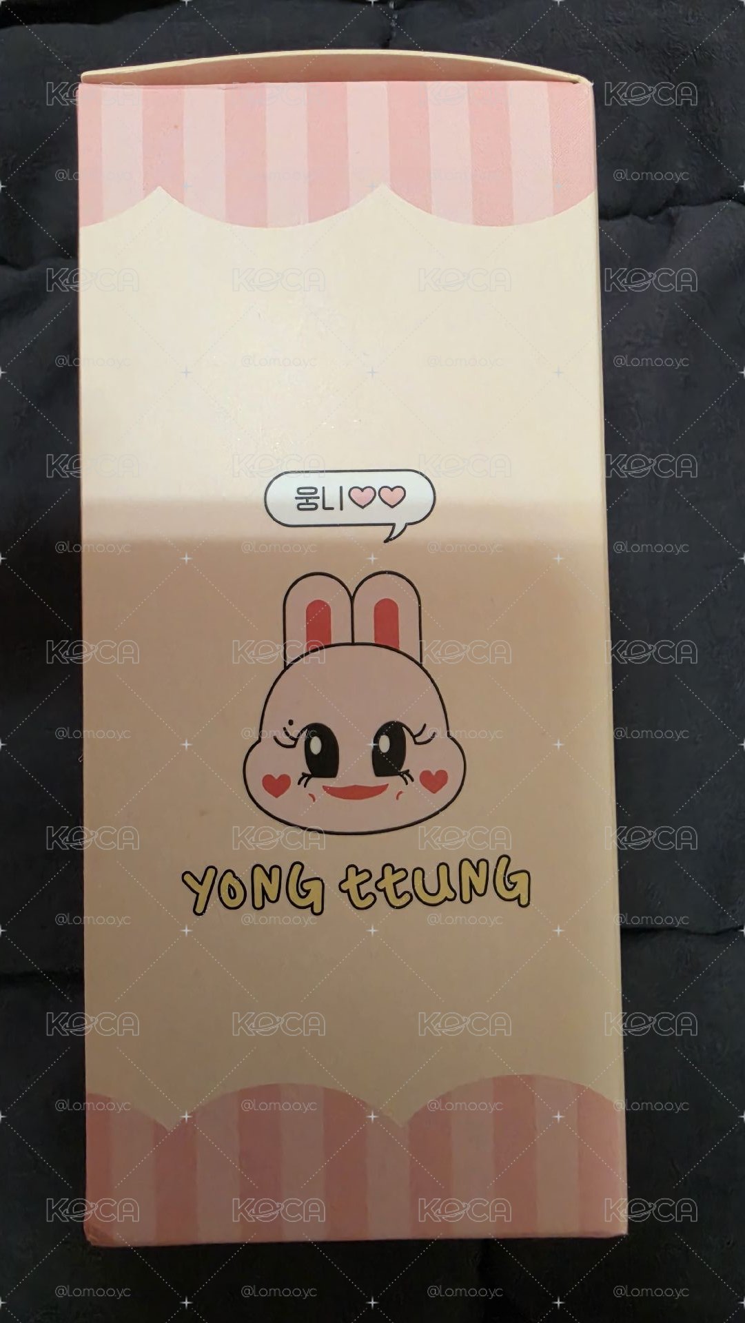 2024 SOLAR'S BIRTHDAY 娃娃玩偶 YONG TTUNG 容墩