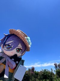 柚子