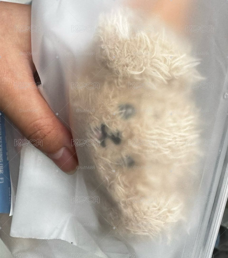 Miniteen 碩 大頭吊飾