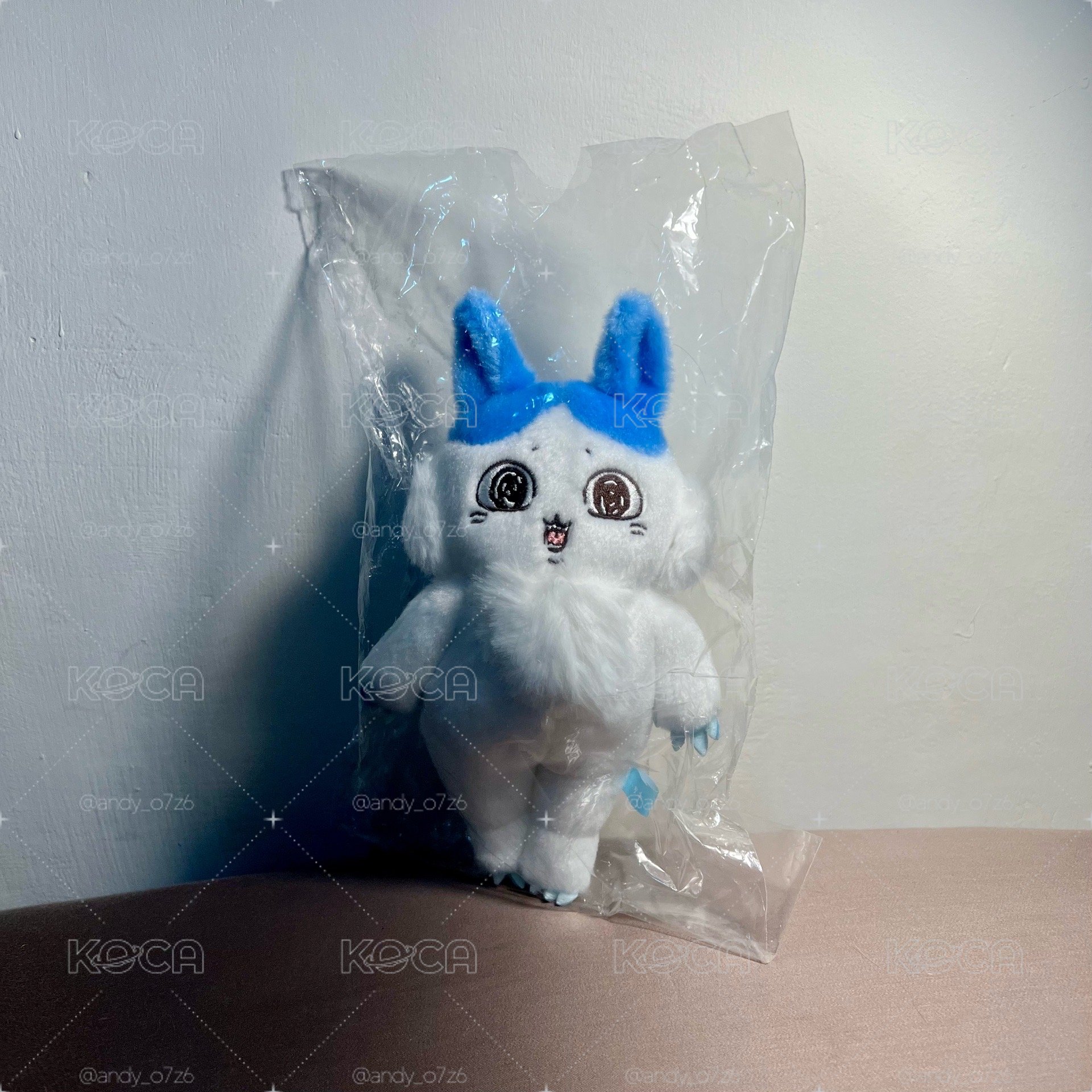 平行世界 美奇拉小八