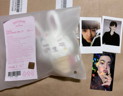 (現貨整圖出）seventeen 哲盤 miniteen 環球抽選 比耶哲 拍立得