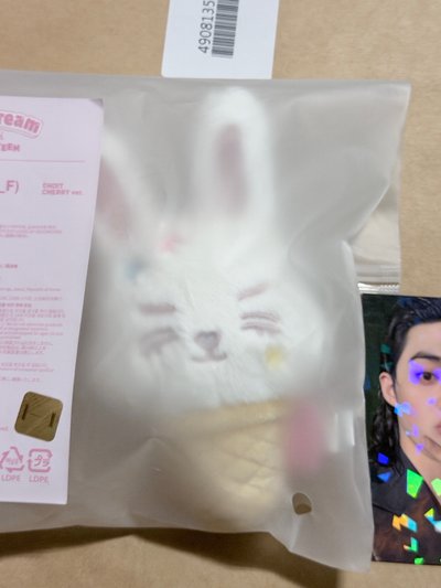 (現貨整圖出）seventeen 哲盤 miniteen 環球抽選 比耶哲 拍立得