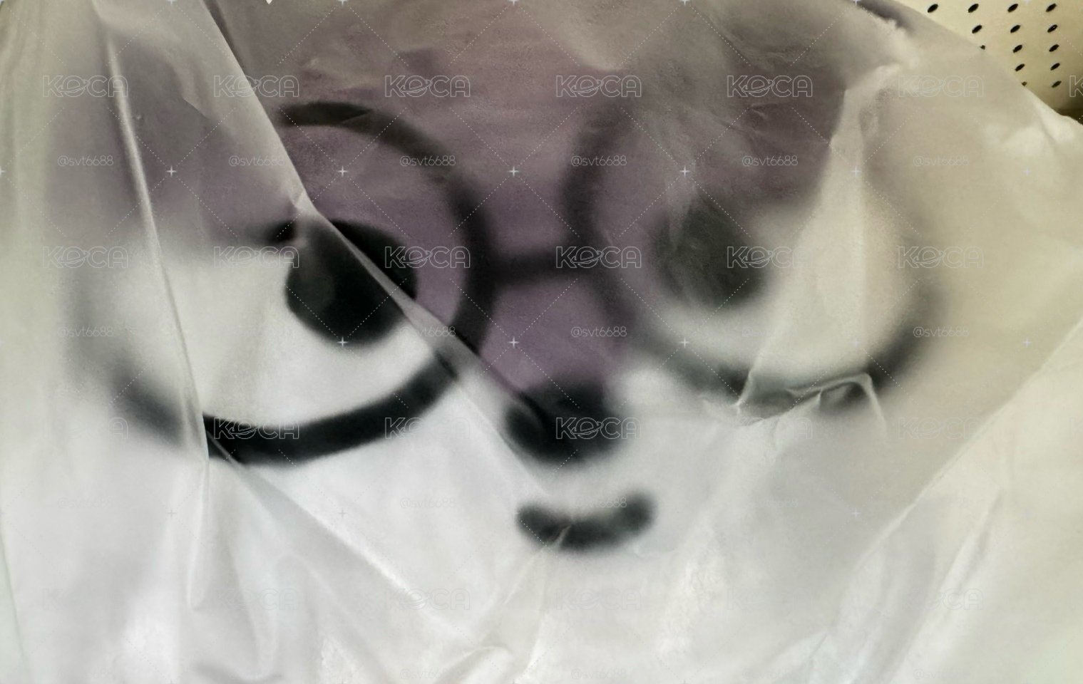Miniteen 圓抱枕