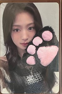 貓爪賢