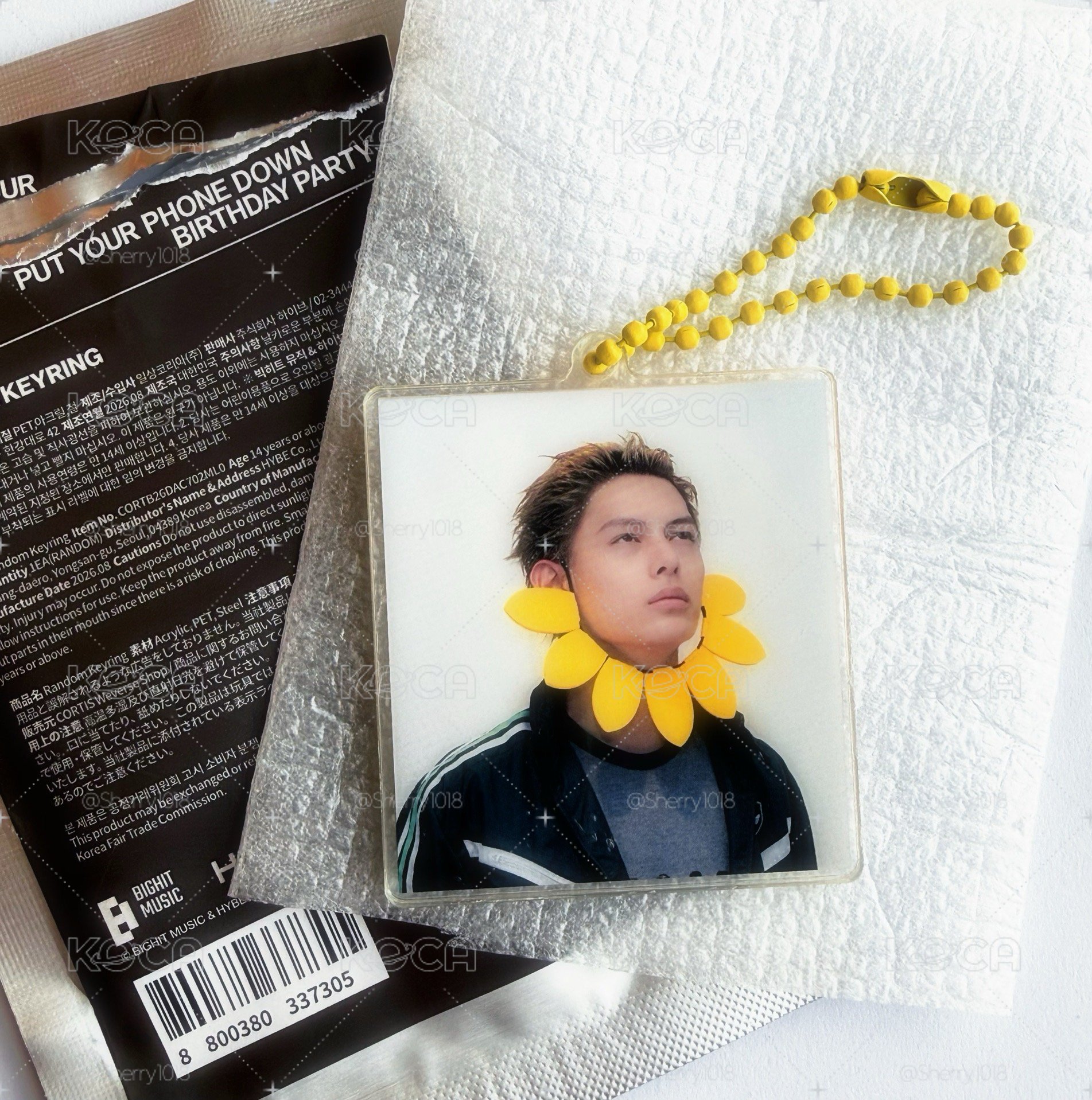 🌻向日葵吊飾 James