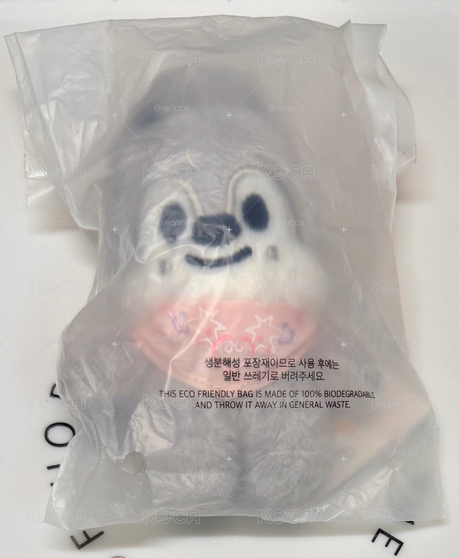 五期飯咪娃燦