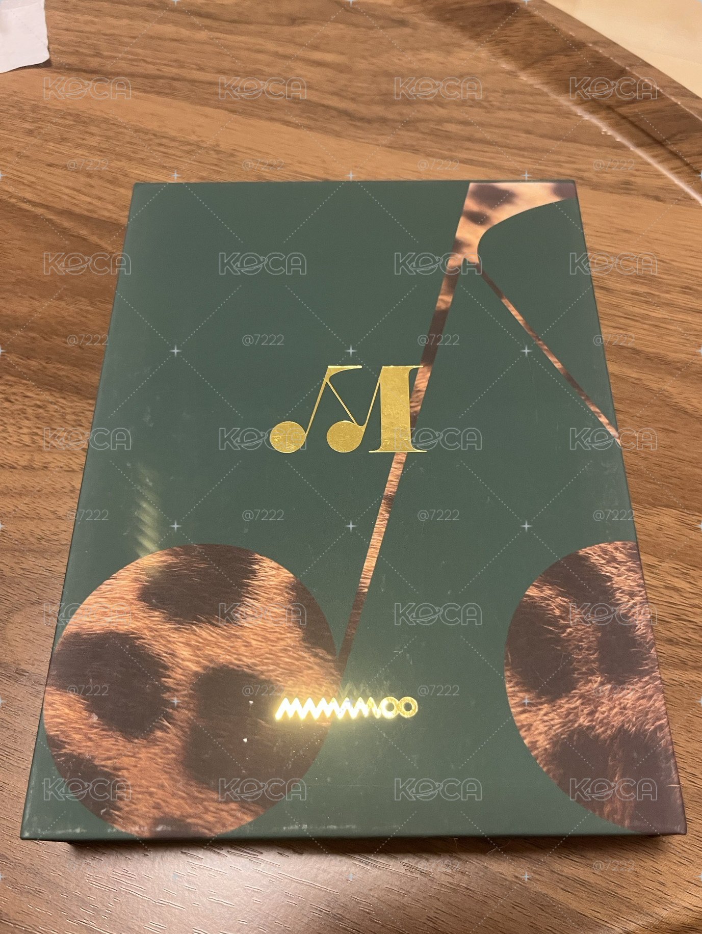 MAMAMOO Travel 深綠空專