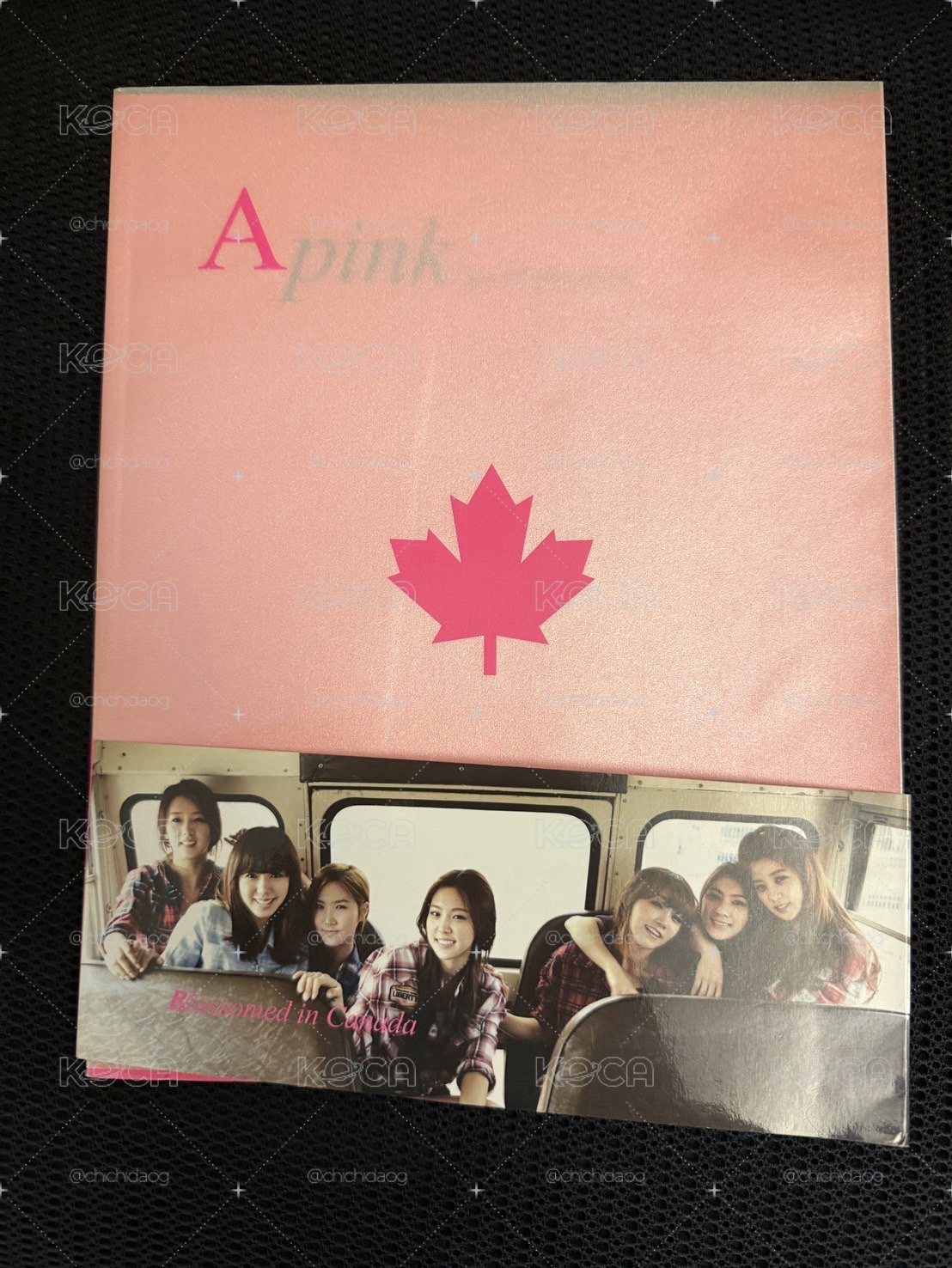 Apink加拿大寫真集