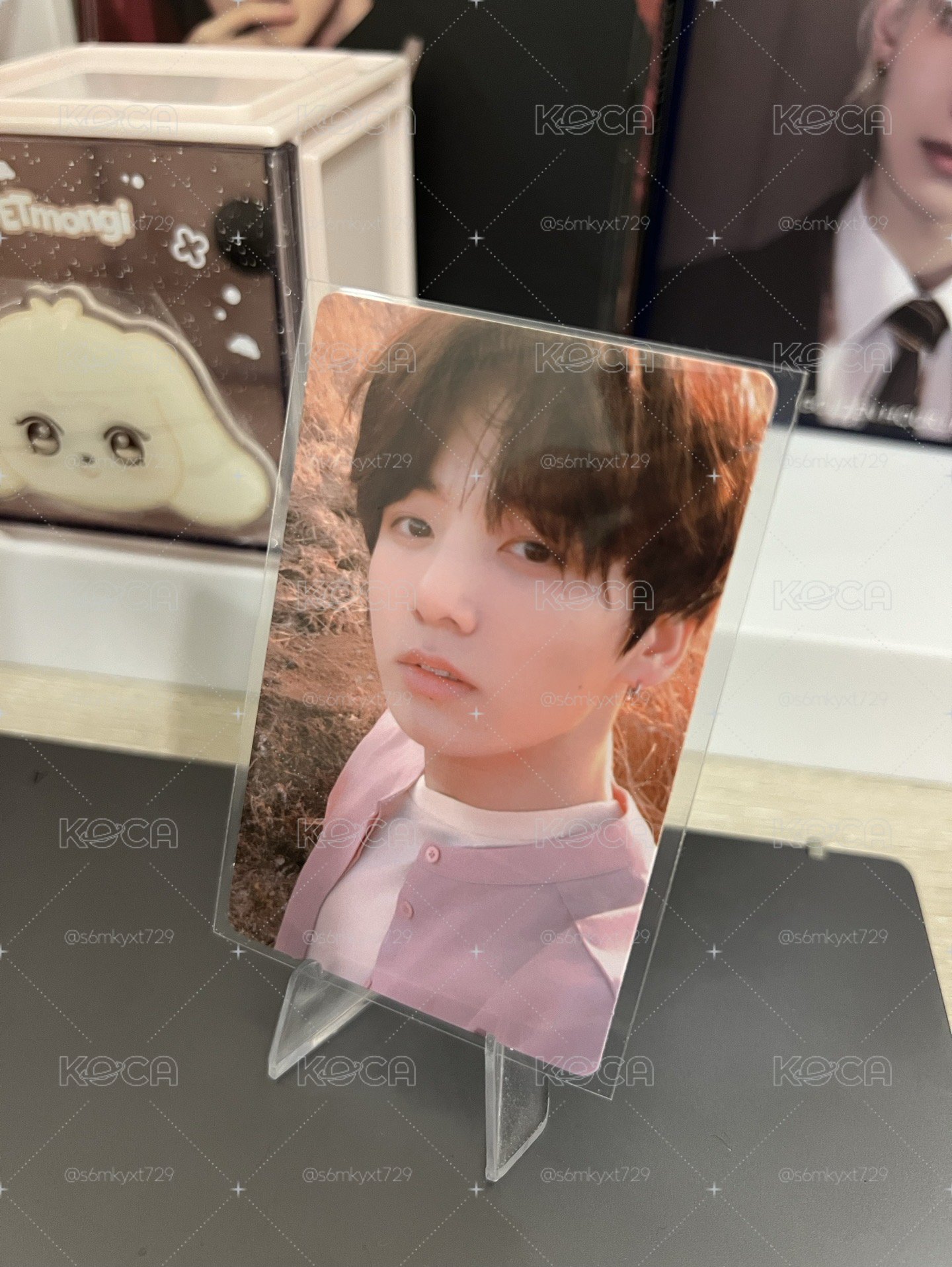 粉衣國