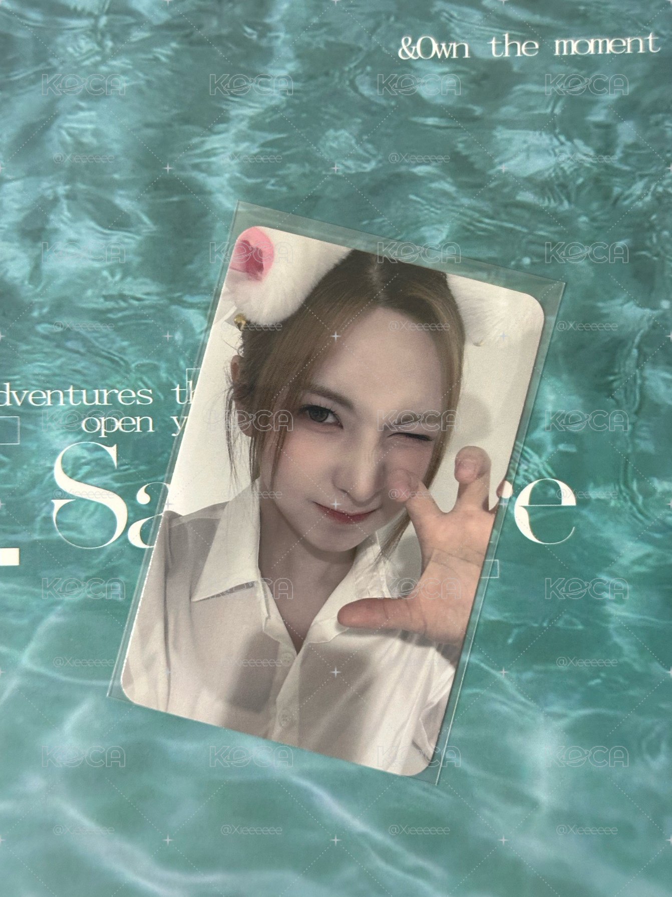 ❣️白貓裴