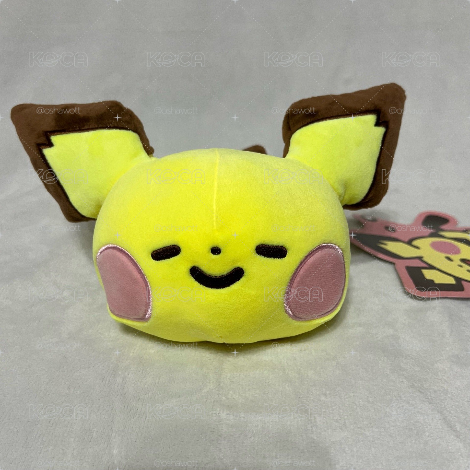 Pokémon Yurutto 卡娜赫拉 皮丘 趴娃