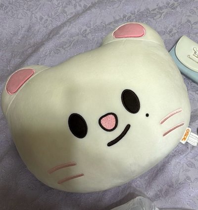 辰豆豆眼抱枕